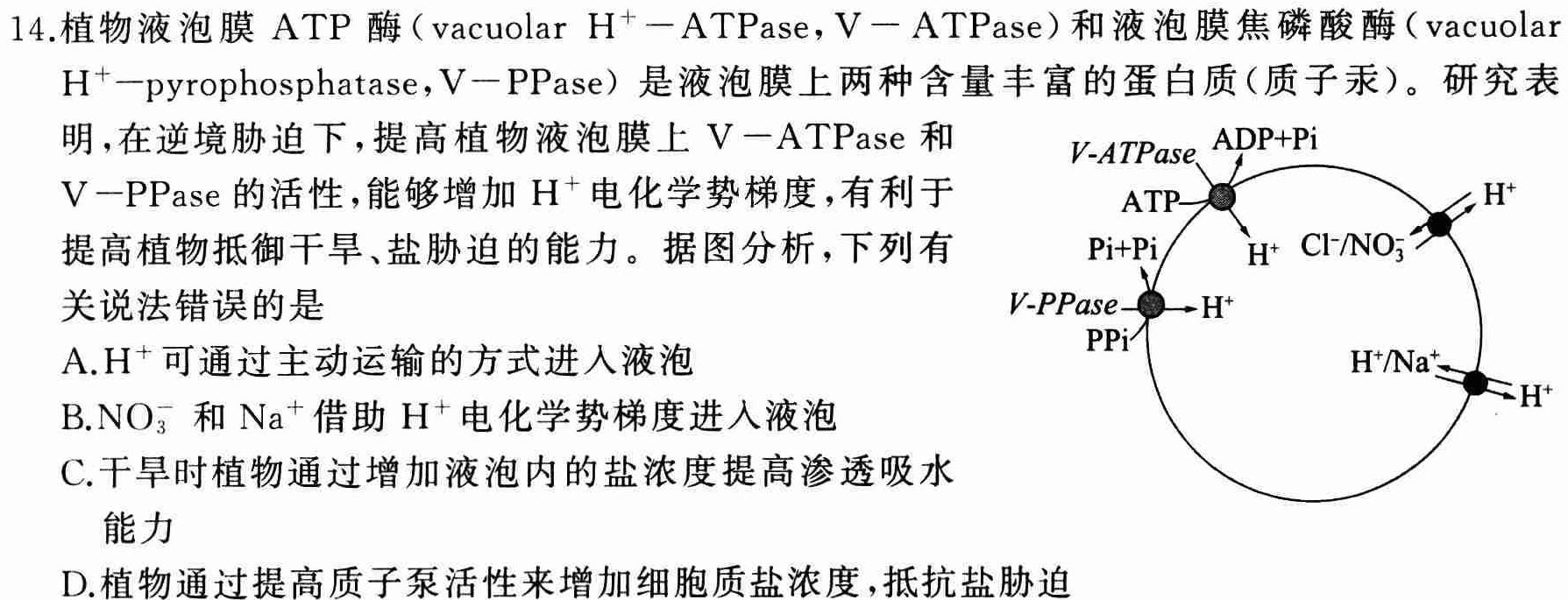 郴州市2024届高三第一次教学质量监测生物