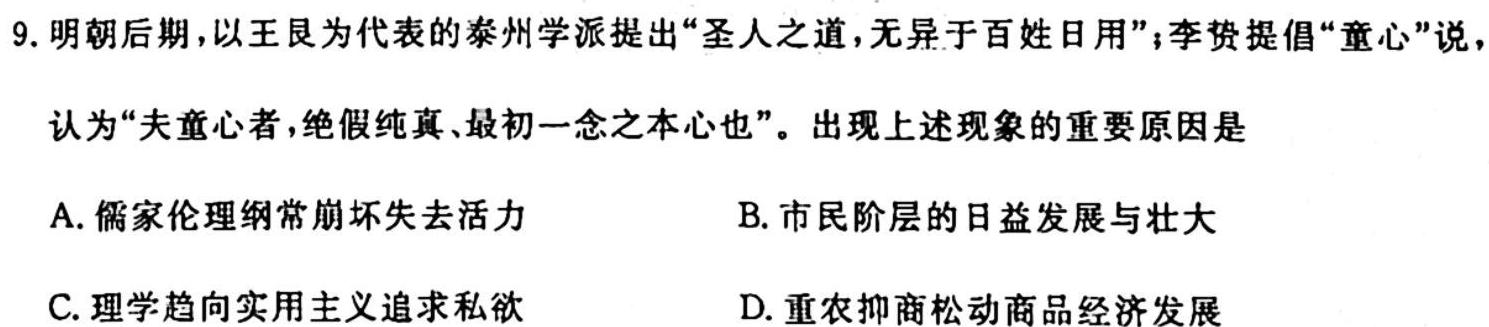 广东省2024届九年级期中综合评估[2LR]历史