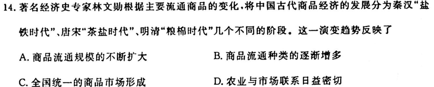 河南省2024届九年级期中综合评估 2L R政治s