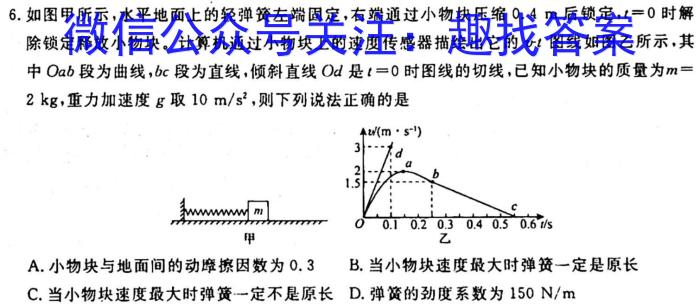 [今日更新]云南师大附中(贵州卷)2024届高考适应性月考卷(黑白黑白白黑黑白).物理