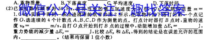 安徽省合肥市某校2023-2024学年度九年级第一学期期中考试f物理