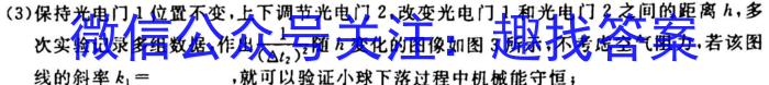 2024届陕西省高三考试质量监测(24-128C)物理`