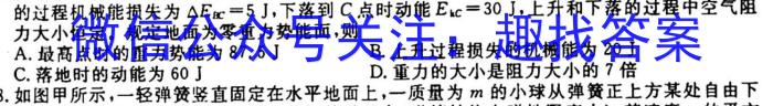 河南省2023-2024学年度七年级第一学期学习评价（1）q物理