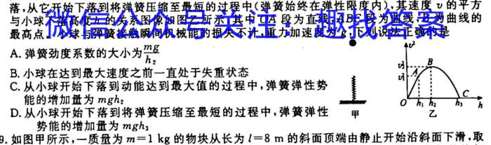 云南省2025届高二11月联考（期中考试）l物理