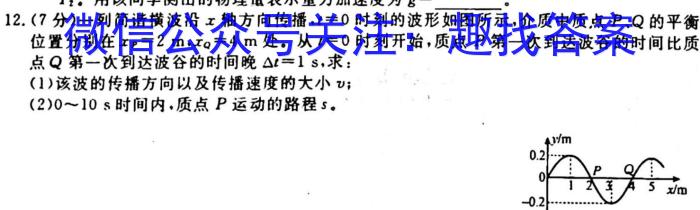 ［湖南大联考］湖南省2025届高二年级上学期11月联考物理`