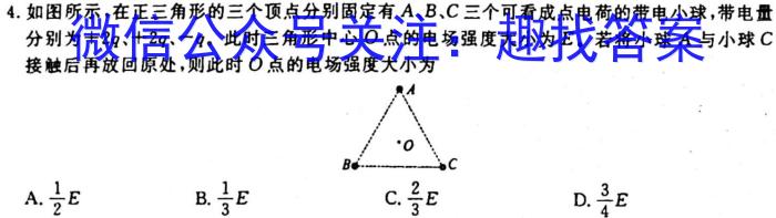 2024届山东省高三年级适应性联考（一）物理`