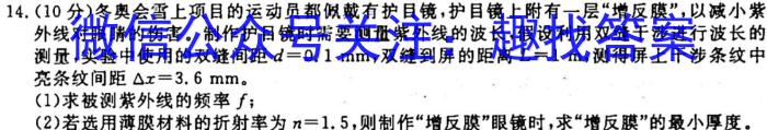 陕西省2023~2024学年度第一学期九年级阶段调研检测物理`