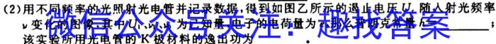 江西省2024届九年级期中考试11月联考物理`