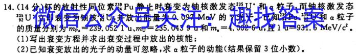 金科·新未来2023年秋季学期高二年级10月质量检测物理`