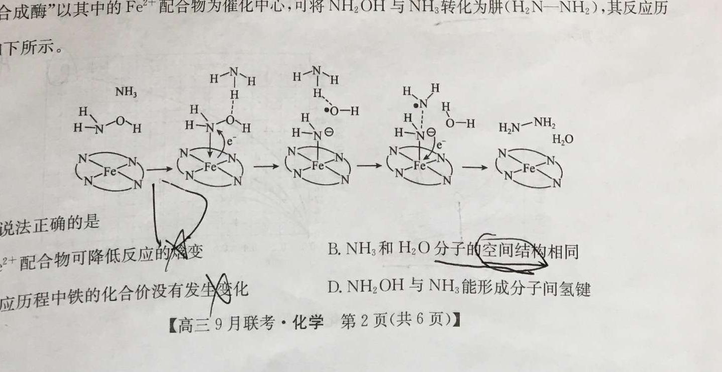 【热荐】安徽省2023-2024学年度第一学期八年级期中考试化学