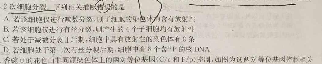 金科大联考2023~2024学年度高二10月质量检测(24051B)生物学试题答案