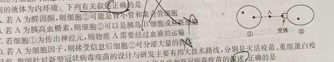 衡水金卷.先享题.分科综合卷 2024年普通高等学校招生全国统一考试模拟试题生物学试题答案