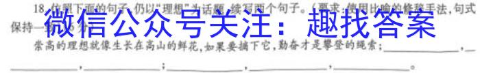 陕西省2023年秋季学期高一期中考试试题(241224Z)语文