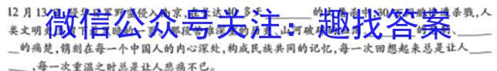 江西省2024届九年级初中目标考点测评(十四)/语文