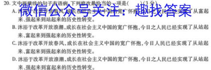 安徽省淮北市2023-2024学年度九年级11月期中考试联考语文