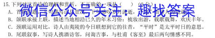 陕西省2024届九年级期中教学素养测评（二）语文