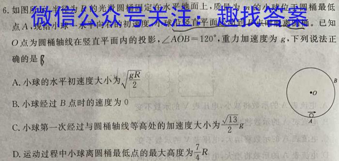 云南省2023-2024学年秋季学期八年级基础巩固卷(一)1l物理