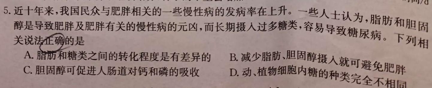 ［江西大联考］江西省2024届高三10月联考（正方形套黑菱形）生物试卷答案