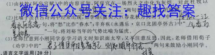 河北省2023-2024学年第一学期九年级学情质量检测（二）语文