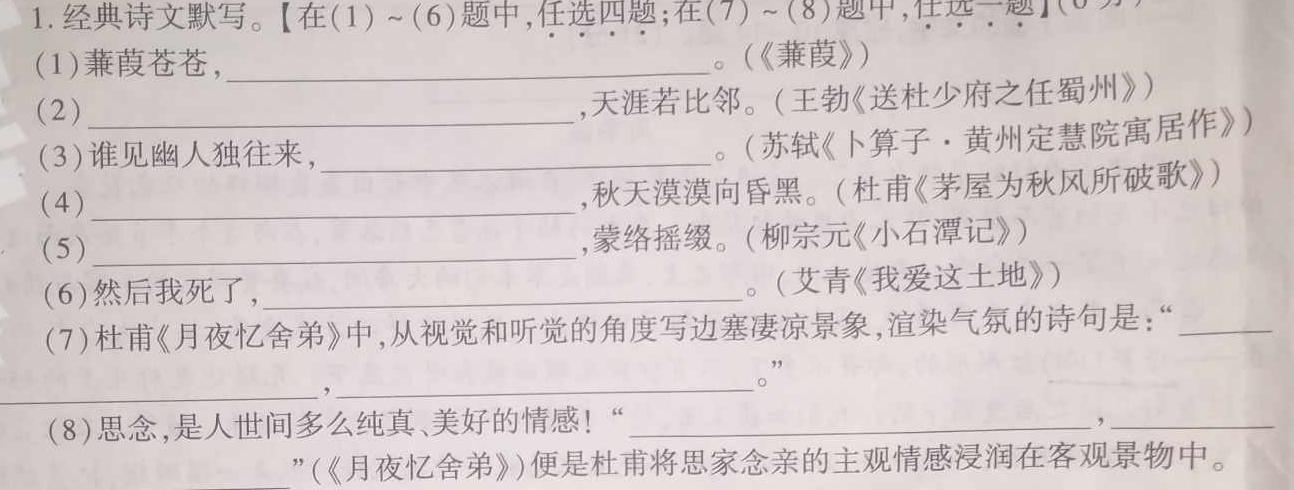 云南师大附中(贵州卷)2024届高考适应性月考卷(黑白黑白白黑黑白)语文