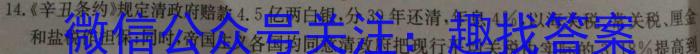 ［河南大联考］河南省2023-2024学年度高二年级上学期11月联考历史