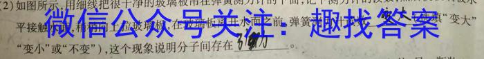 安徽省2023-2024九年级上学期阶段性练习(二)q物理