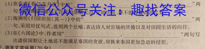 陕西省2024届高三教学质量检测(24186C)/语文