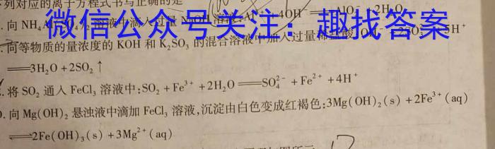 q九师联盟2023-2024学年高一教学质量监测（期中）化学