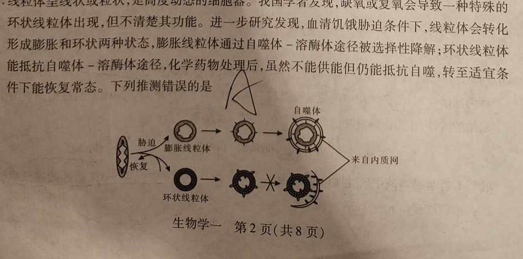 2024高考名校导航金卷(二)生物