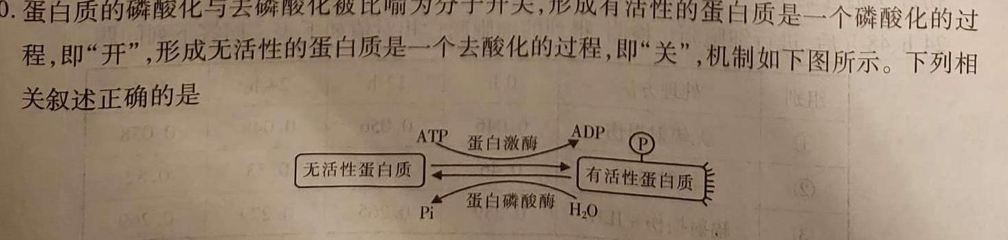 广西省2025届高二年级10月联考生物