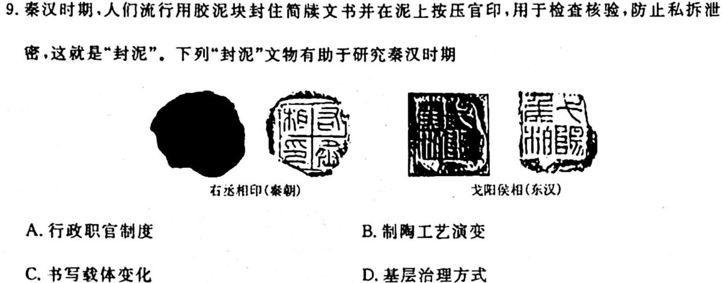 云南师大附中(贵州卷)2024届高考适应性月考卷(黑白黑白白黑黑白)历史