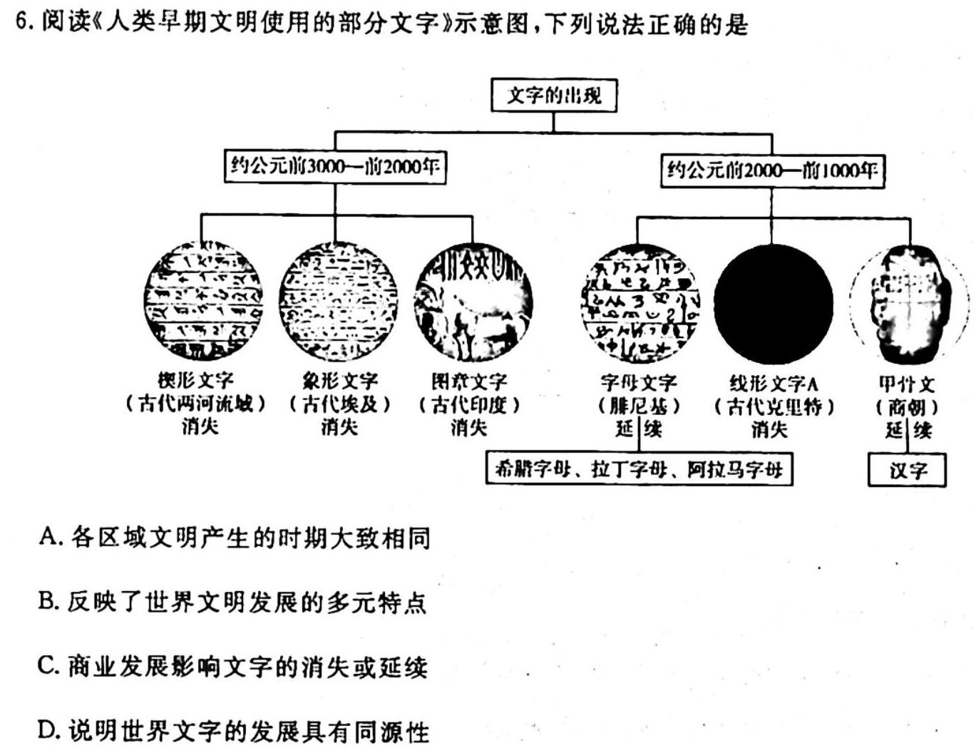 河南省2023-2024学年度八年级第一学期阶段性测试卷(二)历史