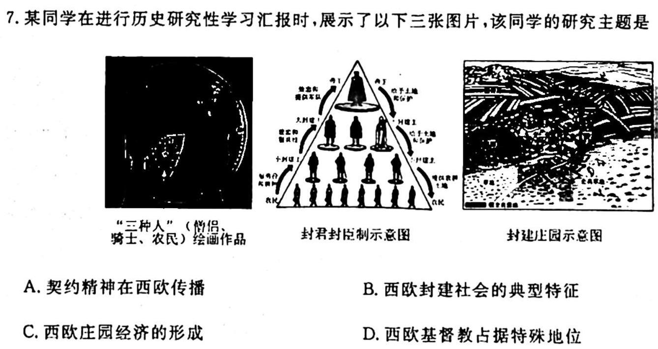 2024届全国名校高三单元检测示范卷(十三)历史