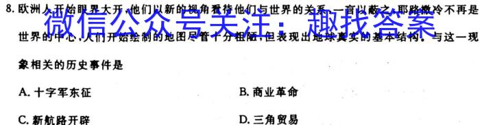 安徽省合肥市琥珀中学教育集团2024届九年级第一次质量调研检测历史