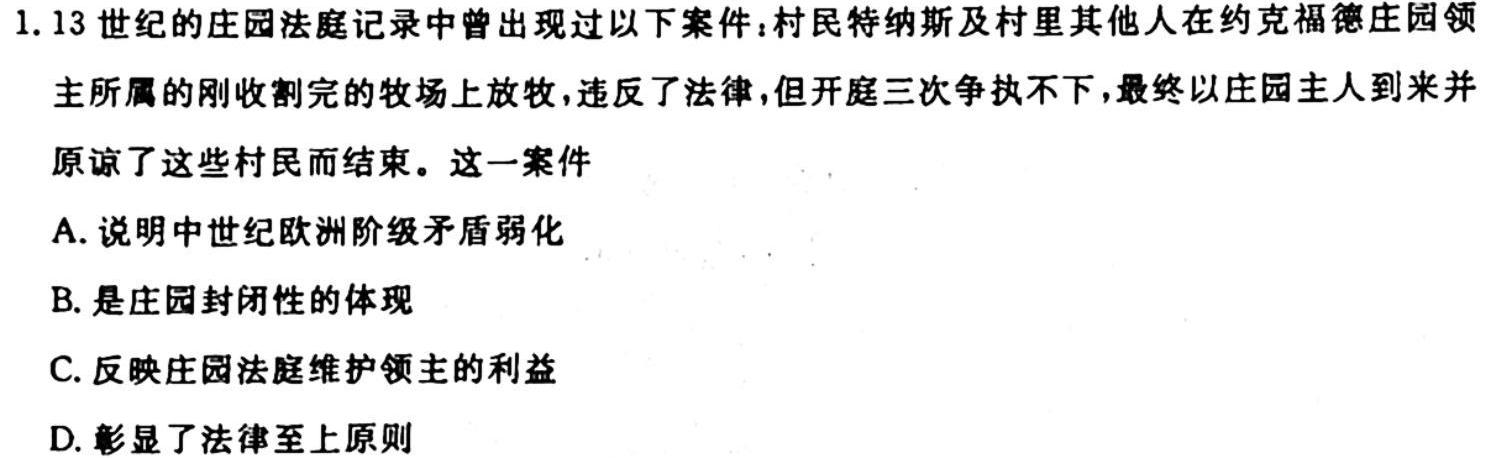 陕西省2023-2024学年度第一学期九年级调研检测(L)历史