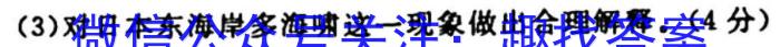ʦ(Ͼ)2024߿Ӧ¿(ڰ׺ڰװ׺ڰװ).