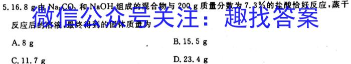 12023-2024学年河北省高二年级上学期10月联考(24-75B)化学