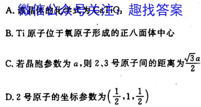 q洛平许济2023-2024学年高三第一次质量检测(10月)化学