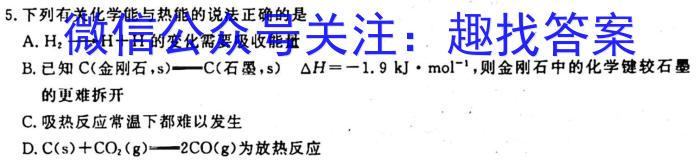 q河南省2023-2024学年度七年级大联考阶段评估卷（一）化学