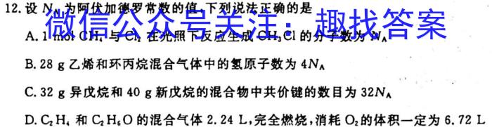 q新疆兵团地州学校2023~2024学年高一第一学期期中联考(24-46A)化学