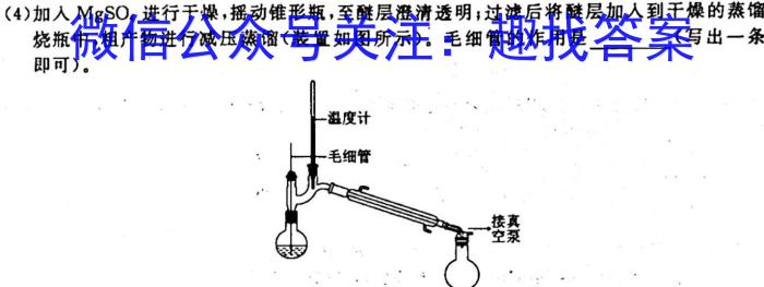 12023-2024学年山东省高一"选科调考"第一次联考(箭头SD)化学