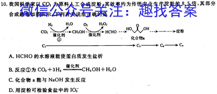 3九师联盟 2024届高三10月质量检测化学