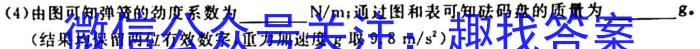 2023-2024学年湖南省高二10月联考(24-69B)f物理