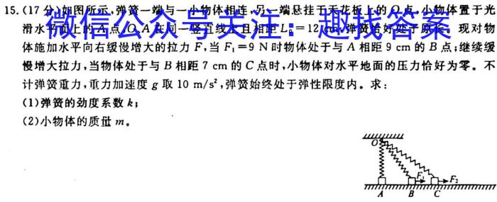 河北省2023~2024学年高三(上)质检联盟期中考试(24-116C)z物理