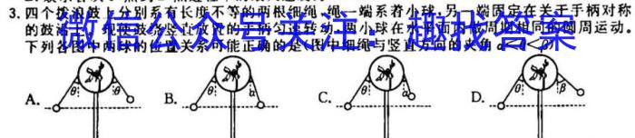 安徽省2023-2024学年度九年级上学期期中综合评估【2LR】物理`