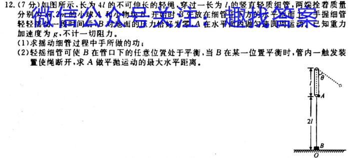 ［陕西大联考］陕西省2025届高二年级上学期10月联考f物理