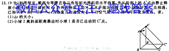 安徽省合肥市2023-2024学年第一学期八年级期中教学质量检测物理试卷答案