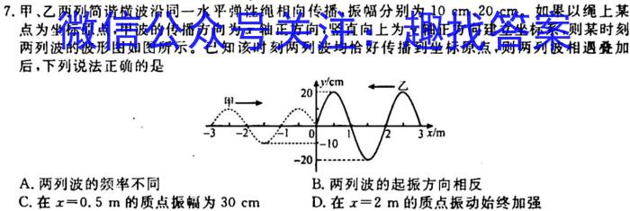 ［河南大联考］河南省2023-2024学年度高二年级上学期11月联考物理`