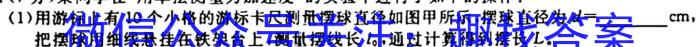 ［广东大联考］广东省2025届高二年级上学期期中考试z物理
