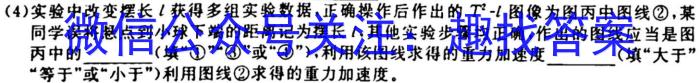 百师联盟2024届高三一轮复习联考(三)新教材物理`